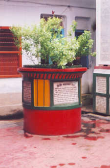vrinda devi infront of the main templea